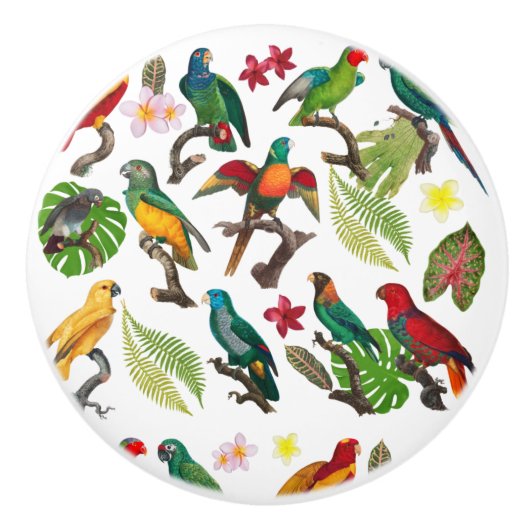Farbenfrohe tropische Papageien, Blätter und Blume Keramikknauf (Vorderseite)