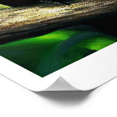 Farbenfrohe tropische Vogelmalposter Poster (Ecke)