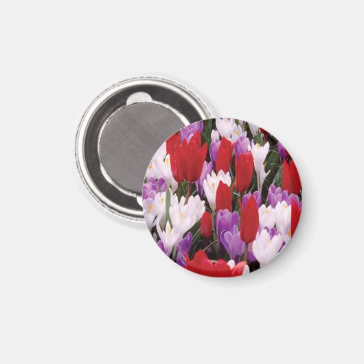 Farbenfrohe Tulip Blume Magnet (Vorderseite/Rückseite)