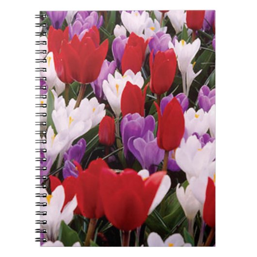 Farbenfrohe Tulip-Blume SpiralNotebook Notizblock (Vorderseite)