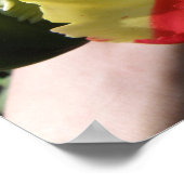 Farbenfrohe Tulip Macro Print Poster (Ecke)