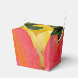 Farbenfrohe Tulip Take Out Gevor Box Geschenkschachtel