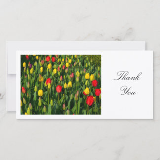 Farbenfrohe Tulips - Danke