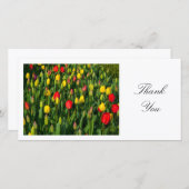 Farbenfrohe Tulips - Danke (Vorne/Hinten)
