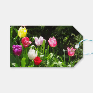 Farbenfrohe Tulips DIY-Geschenk-Tag Geschenkanhänger