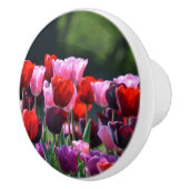 Farbenfrohe Tulips Dresser Knob Keramikknauf (Rechts)