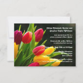 Farbenfrohe Tulips-Foto - 3x5Wedding Ankündigung (Vorderseite)