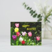 Farbenfrohe Tulips Frohes Ostern Postkarte (Stehend Vorderseite)