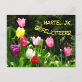 Farbenfrohe Tulips Happy Birthday Postcard Postkarte (Vorderseite)