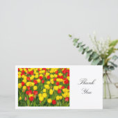 Farbenfrohe Tulips II - Danke (Stehend Vorderseite)