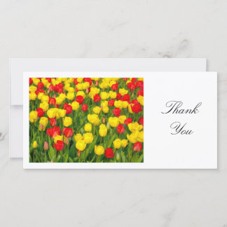 Farbenfrohe Tulips II - Danke