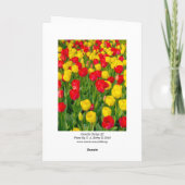 Farbenfrohe Tulips III - Vertikal Karte (Rückseite)