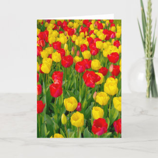 Farbenfrohe Tulips III - Vertikal Karte