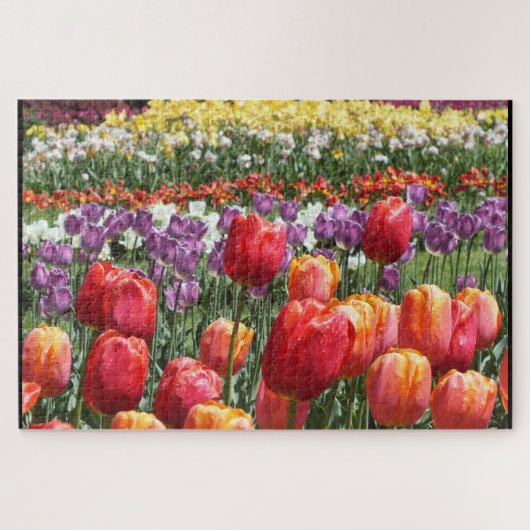 Farbenfrohe Tulips im Bloom Elizabeth Park Hartfor Puzzle (Horizontal)