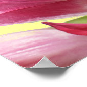 Farbenfrohe Tulips mit individualisierbarer Quotat Poster (Ecke)
