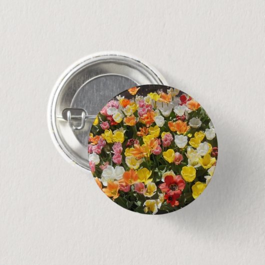 Farbenfrohe Tulissen Button (Vorne & Hinten)