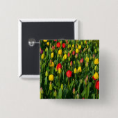 Farbenfrohe Tulissen Button (Vorne & Hinten)