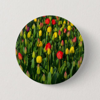 Farbenfrohe Tulissen Button