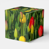 Farbenfrohe Tulissen Geschenkschachtel (Rückseite)