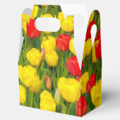 Farbenfrohe Tulissen Geschenkschachtel (Geöffnet)