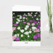 Farbenfrohe Tulissen Karte (Rückseite)