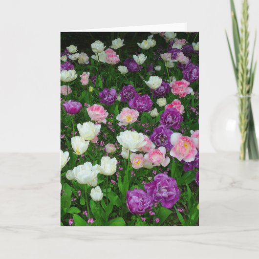 Farbenfrohe Tulissen Karte (Vorderseite)