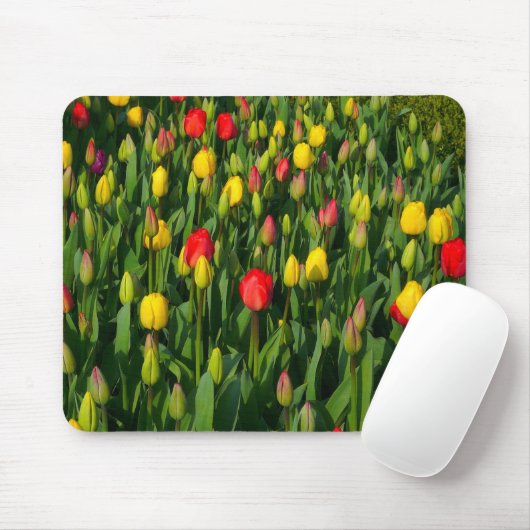 Farbenfrohe Tulissen Mousepad (Mit Mouse)