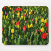 Farbenfrohe Tulissen Mousepad (Vorne)