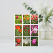 Farbenfrohe Tulissen Postkarte (Stehend Vorderseite)