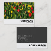 Farbenfrohe Tulissen Visitenkarte (Vorne/Hinten)