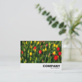 Farbenfrohe Tulissen Visitenkarte (Stehend Vorderseite)