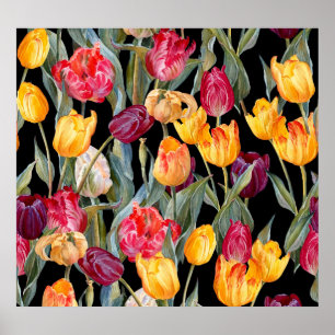 Farbenfrohe Tulpen, abgeschiedener schwarzer Hinte Poster