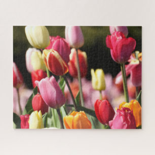 Farbenfrohe Tulpen im Garten Puzzle