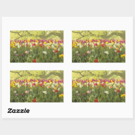 Farbenfrohe Tulpen im Park 2 Rechteckiger Aufkleber