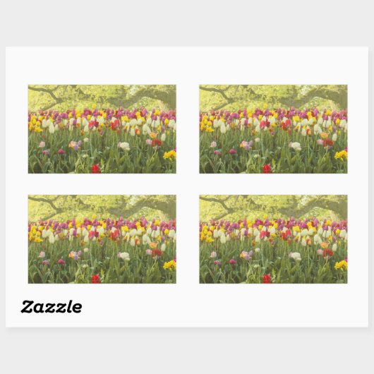Farbenfrohe Tulpen im Park 2 Rechteckiger Aufkleber (Blatt)