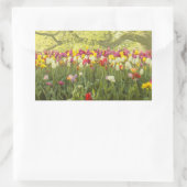 Farbenfrohe Tulpen im Park 2 Rechteckiger Aufkleber (Tasche)