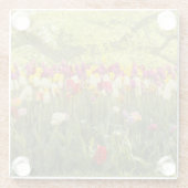 Farbenfrohe Tulpen im Park Glasuntersetzer (Rückseite)