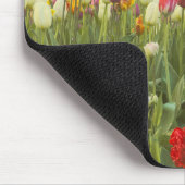 Farbenfrohe Tulpen im Park Mousepad (Ecke)