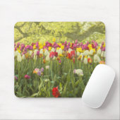 Farbenfrohe Tulpen im Park Mousepad (Mit Mouse)