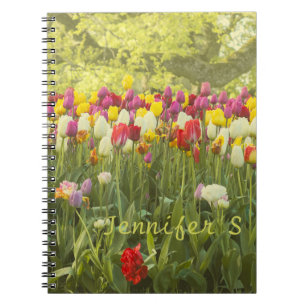 Farbenfrohe Tulpen im Park personalisiert Notizblock