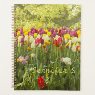 Farbenfrohe Tulpen im Park personalisiert Planer