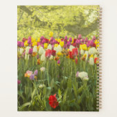 Farbenfrohe Tulpen im Park personalisiert Planer (Rückseite)