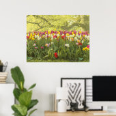 Farbenfrohe Tulpen im Park Poster (Heimbüro)