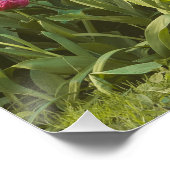 Farbenfrohe Tulpen im Park Poster (Ecke)