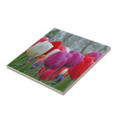 Farbenfrohe Tulpen Schönheit Fliese (Seite)