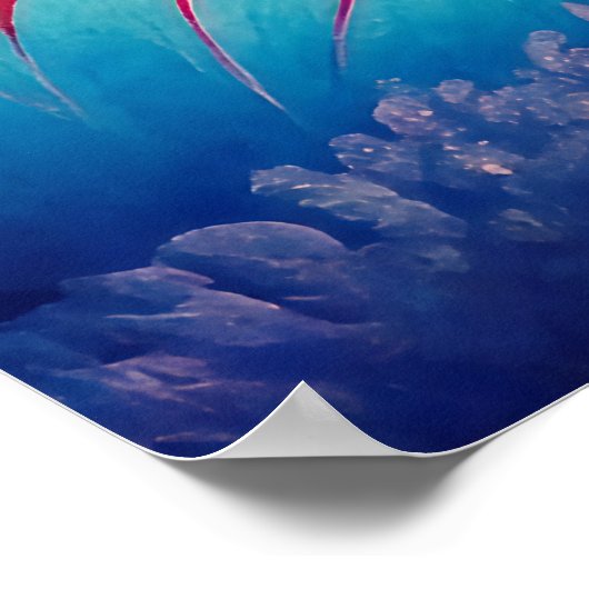 Farbenfrohe Unterwasserwelt unter dem Regenbogen Poster (Ecke)