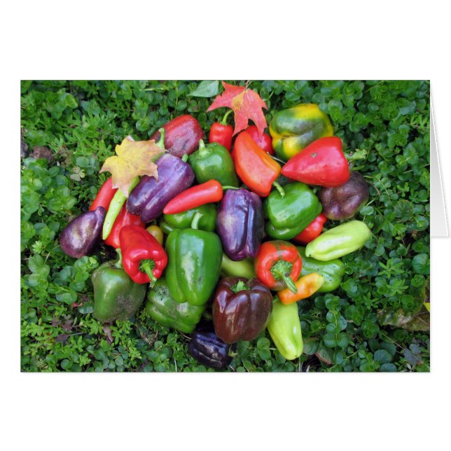 Farbenfrohe Veggies und Ahorn-Blätter (Vorderseite (Horizontal))