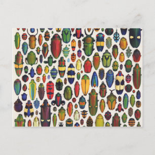 Farbenfrohe Vintage Illustrierte Käfer Postkarte