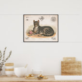 Farbenfrohe Vintage KatzenIllustration Kunst, Dich Poster (Küche)