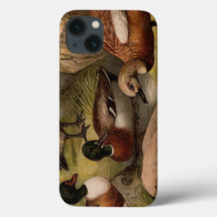 Farbenfrohe Vintage-Malerei von Enten iPhone 13 Hülle